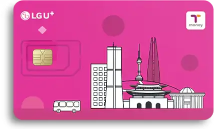 Korea SIM Card
